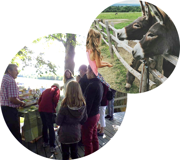 Visite à la ferme - Asinerie Les ânes en culottes - Ste-Anne de la Rochelle