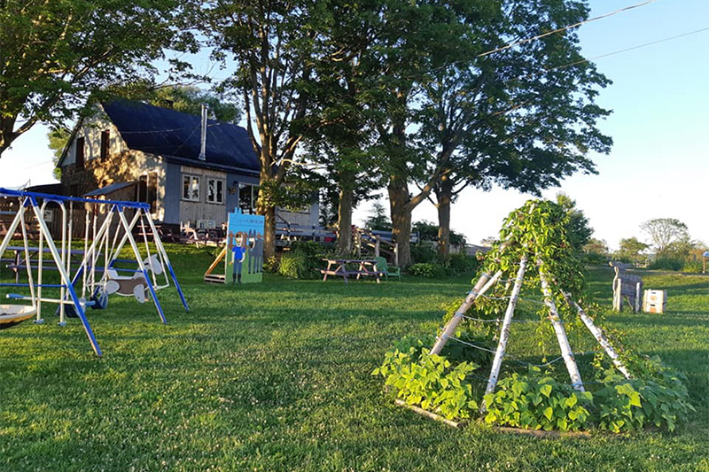 Visite à la ferme - Asinerie Les ânes en culottes - Ste-Anne de la Rochelle